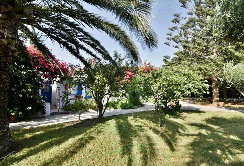 Classic Studio, Golden Beach Studios & Suites