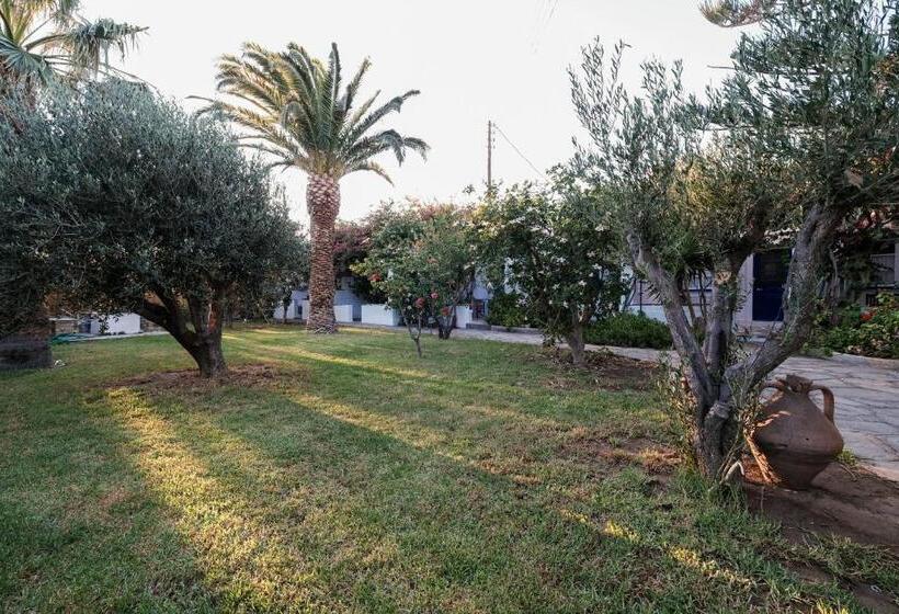 Family Suite, Golden Beach Studios & Suites