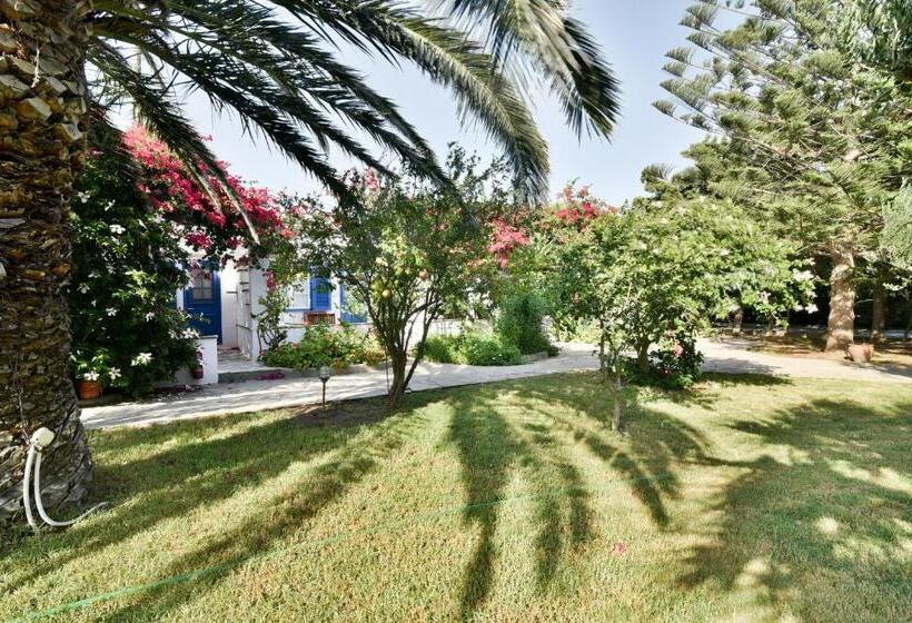 Family Suite, Golden Beach Studios & Suites