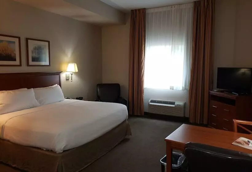スタンダードスタジオ, Candlewood Suites Murfreesboro, An Ihg