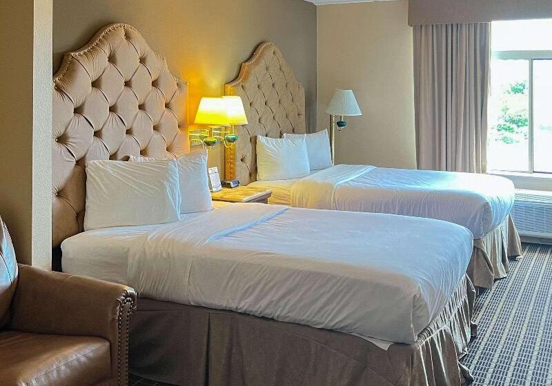 标准单人间, Heiwadai Hotel Tenjin