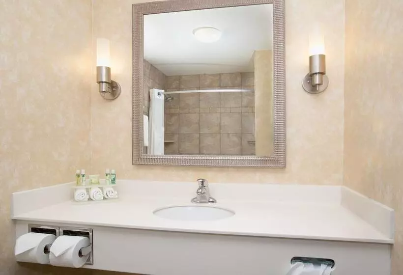 スイート, Holiday Inn Express Hotel & Suites Minot South, An Ihg