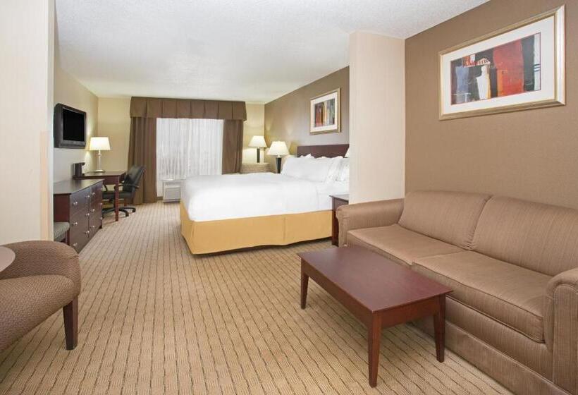 スイート, Holiday Inn Express Hotel & Suites Minot South, An Ihg