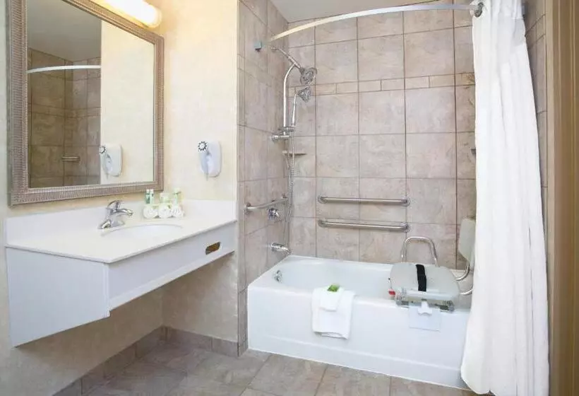 身障者適用キングサイズベッドルーム, Holiday Inn Express Hotel & Suites Minot South, An Ihg