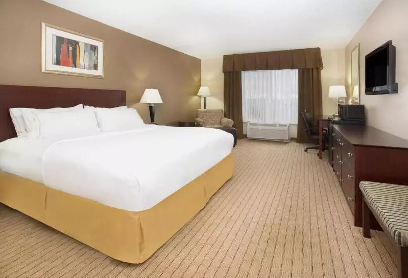キングサイズベッドのスタンダードルーム, Holiday Inn Express Hotel & Suites Minot South, An Ihg