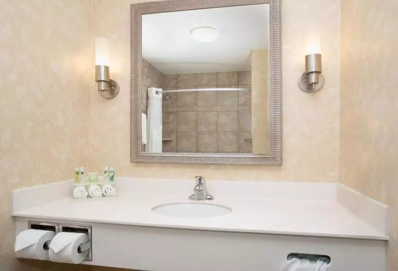 キングサイズベッドのスタンダードルーム, Holiday Inn Express Hotel & Suites Minot South, An Ihg