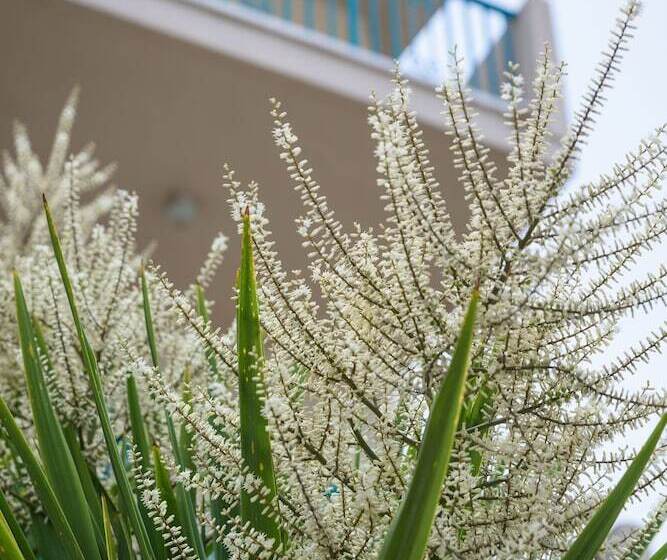 آپارتمان 2 خوابه, Kyveli Apartments