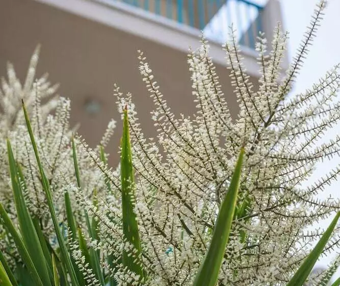 آپارتمان 2 خوابه, Kyveli Apartments