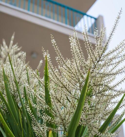 آپارتمان 2 خوابه, Kyveli Apartments