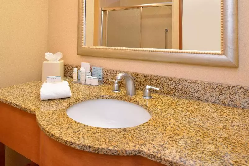 Standard-huone King-vuode, Hampton Inn & Suites Tampa East