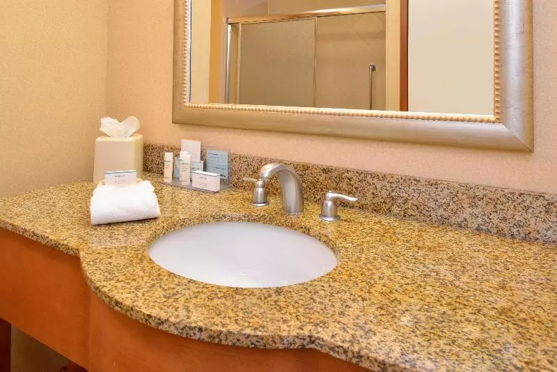 Standard-huone King-vuode, Hampton Inn & Suites Tampa East