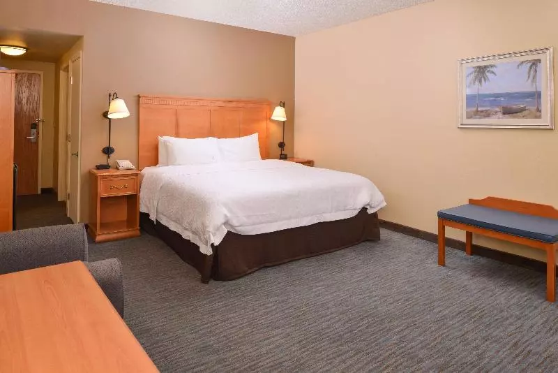 Standard-huone King-vuode, Hampton Inn & Suites Tampa East