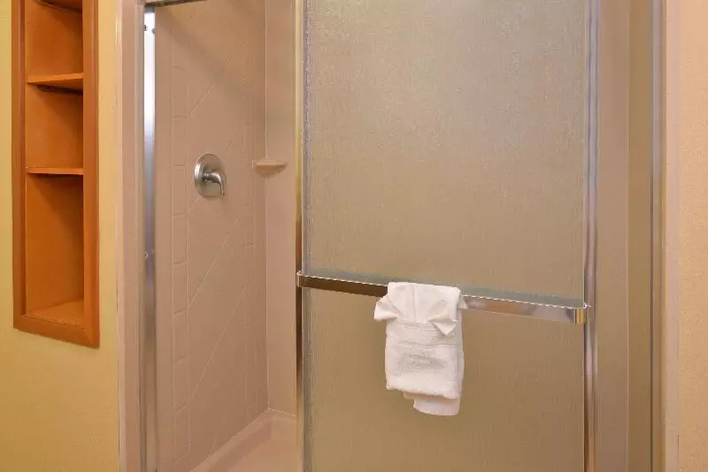 Standard-huone King-vuode, Hampton Inn & Suites Tampa East