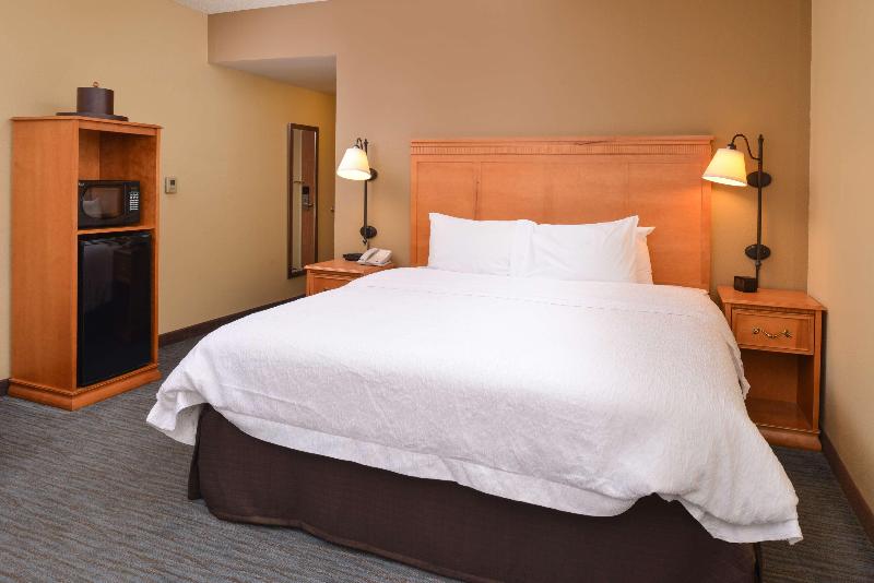 غرفة قياسية سرير كينج, Hampton Inn & Suites Tampa East