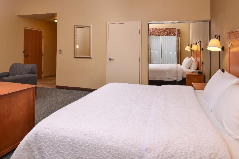 إستوديو قياسى سرير كينج, Hampton Inn & Suites Tampa East