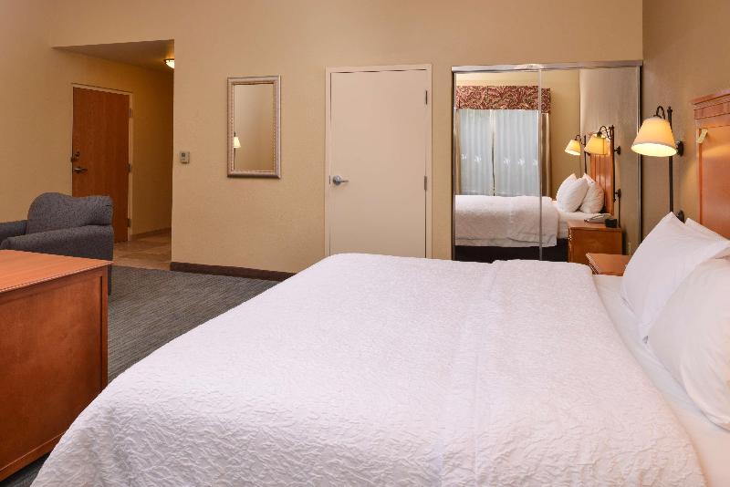 إستوديو قياسى سرير كينج, Hampton Inn & Suites Tampa East