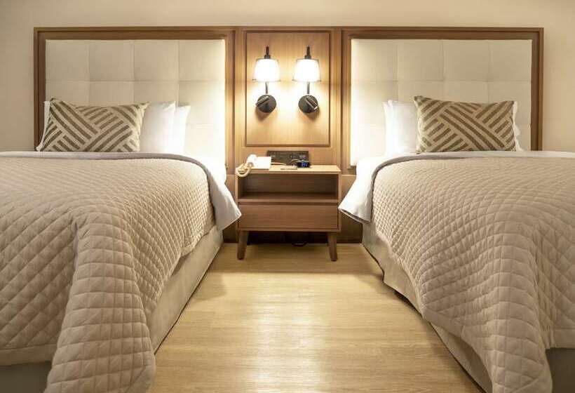 行政房间, Hilton Bogota