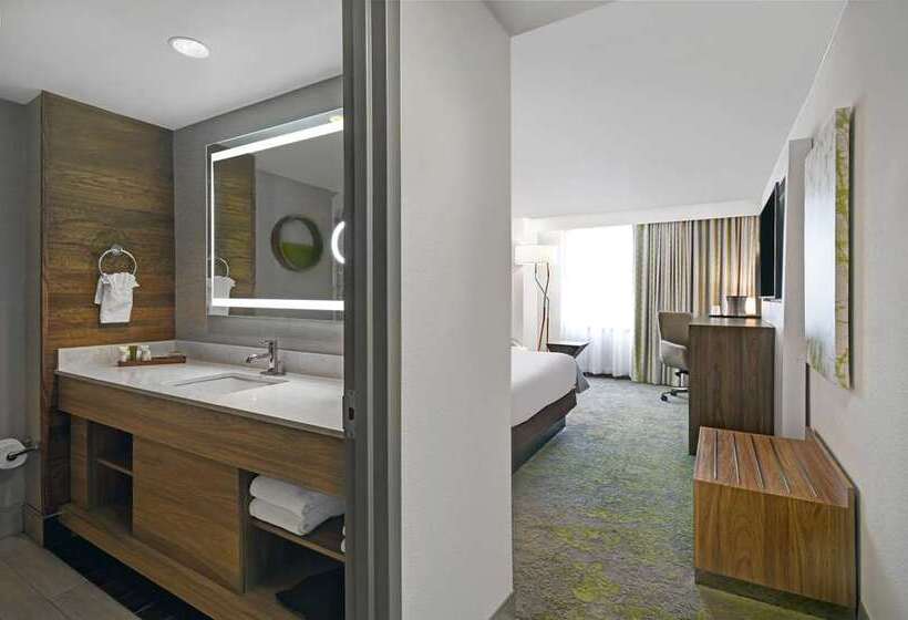 带大床的标准间, Hilton Bogota