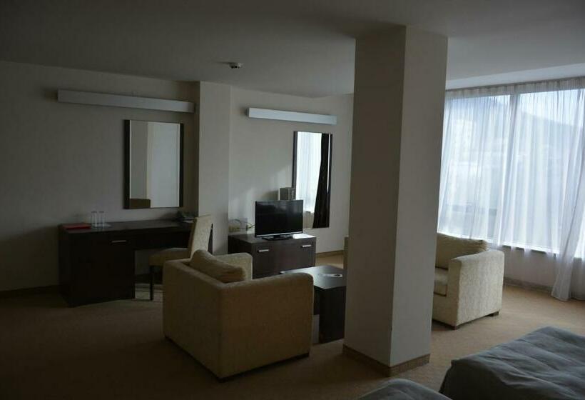 스탠다드 룸, Presidivm Palace