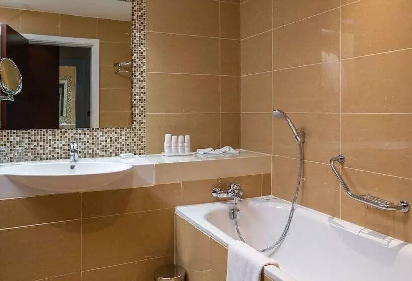 اتاق استاندارد, Radisson Blu Hotel, Addis Ababa