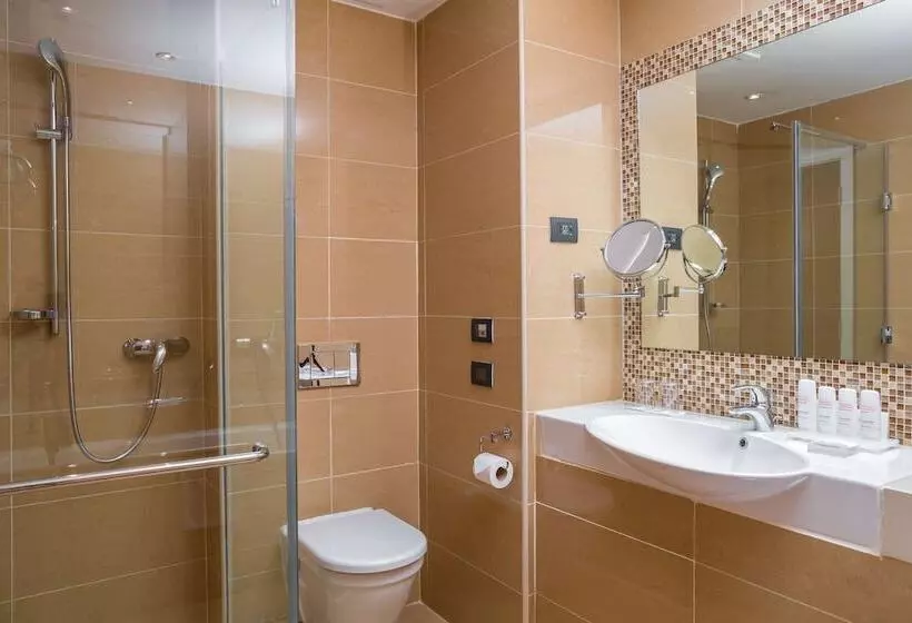 اتاق استاندارد, Radisson Blu Hotel, Addis Ababa