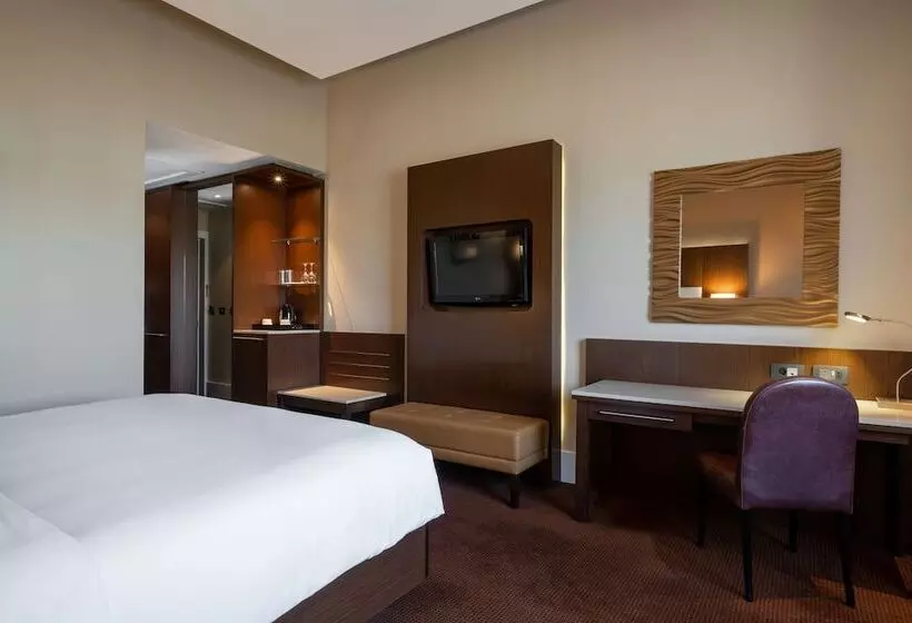 اتاق استاندارد, Radisson Blu Hotel, Addis Ababa