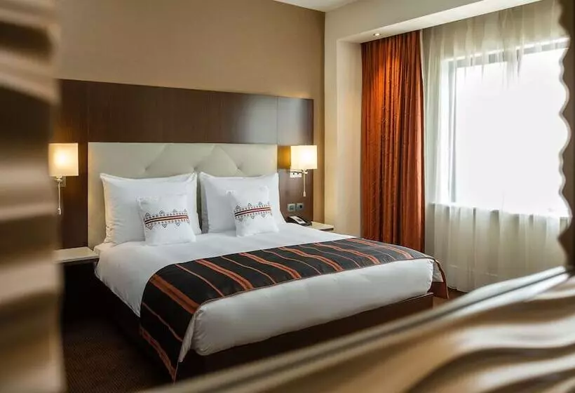 اتاق استاندارد, Radisson Blu Hotel, Addis Ababa