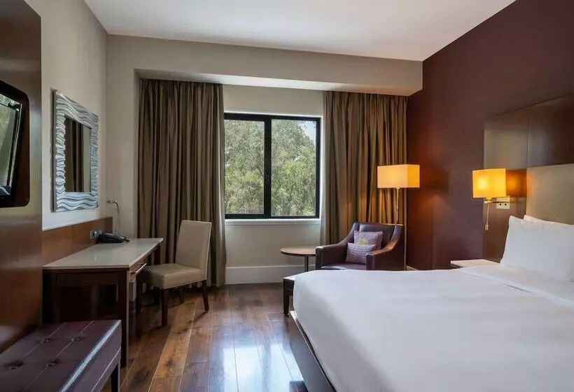 اتاق اجرایی, Radisson Blu Hotel, Addis Ababa