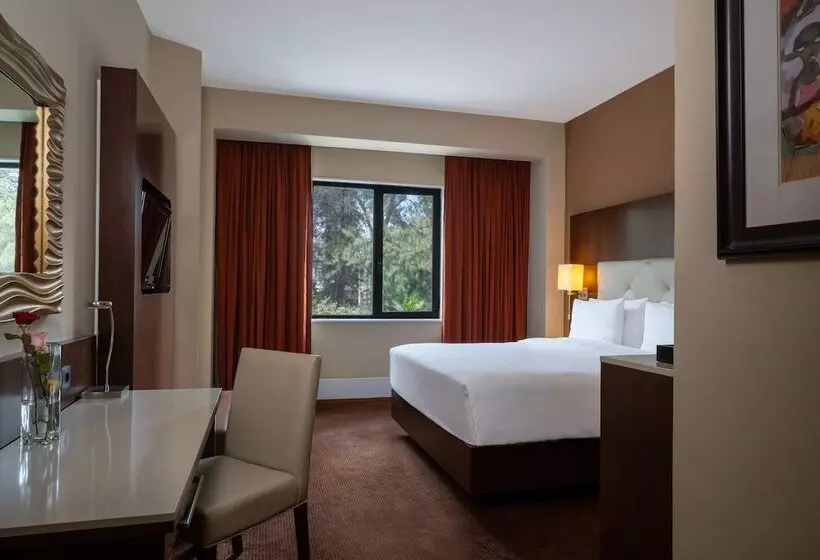 اتاق اجرایی, Radisson Blu Hotel, Addis Ababa