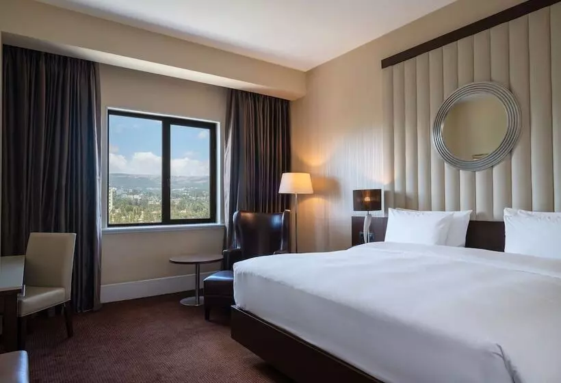 سوئیت پرزیدنت, Radisson Blu Hotel, Addis Ababa
