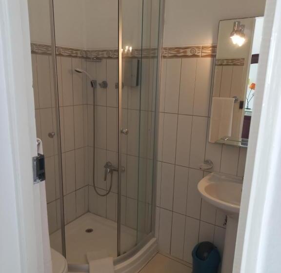 اتاق سوپریور, Savana