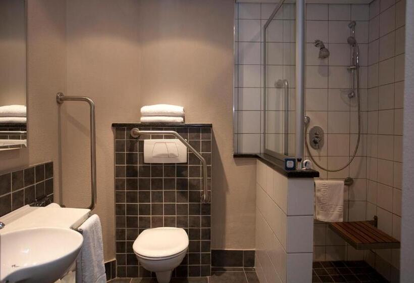 חדר סטנדרט מותאם לאדם עם מוגבלויות, Town Lodge Roodepoort