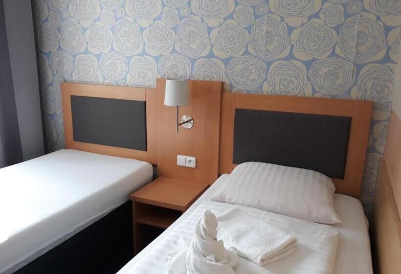 غرفة قياسية فردية, Rozvoj