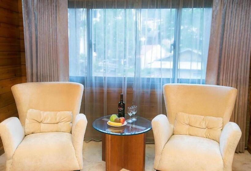 اتاق لوکس, The Richforest Hotel Sun Moon Lake