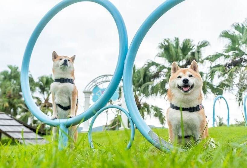 اتاق لوکس, Promisedland Resort & Lagoon