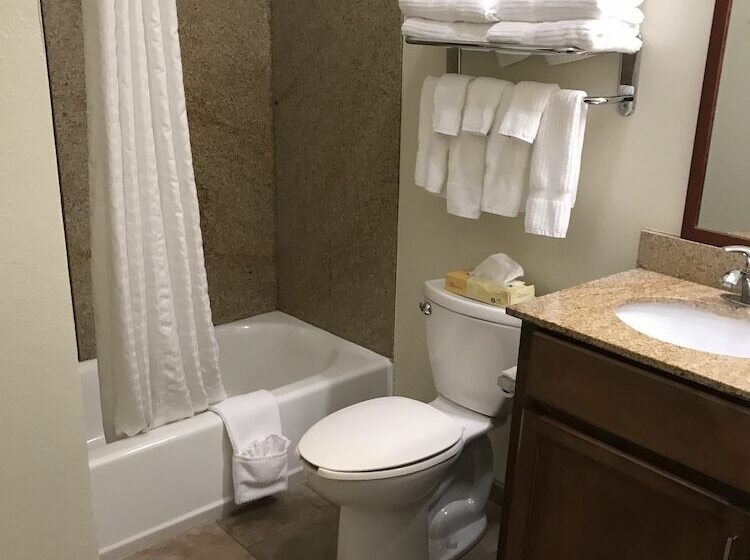 Студия Стандарт, Candlewood Suites Vicksburg, An Ihg