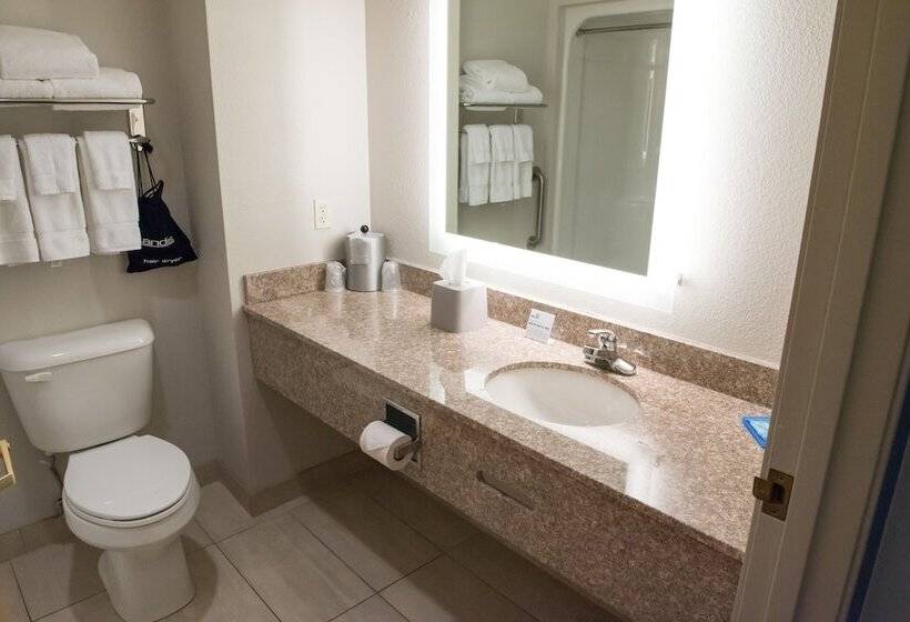 스위트, Holiday Inn Express Hotel & Suites Elkhart South, An Ihg