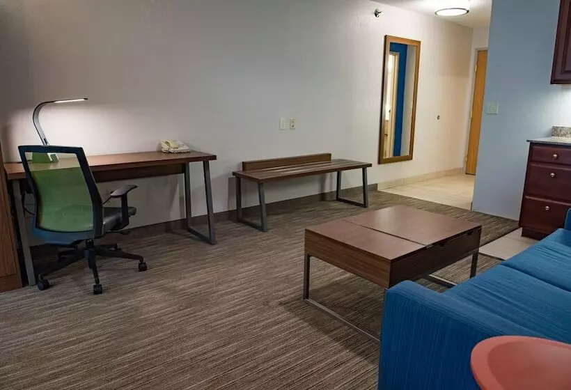 スイート, Holiday Inn Express Hotel & Suites Elkhart South, An Ihg