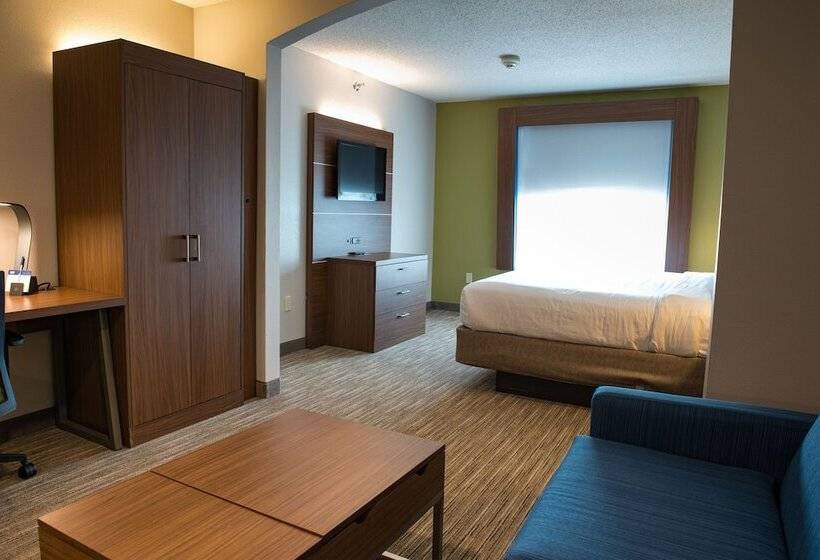 스위트, Holiday Inn Express Hotel & Suites Elkhart South, An Ihg