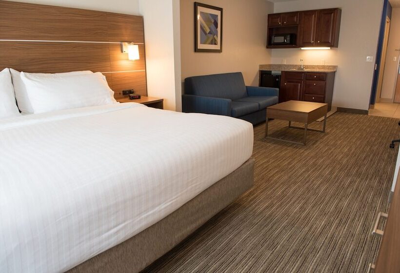 스위트, Holiday Inn Express Hotel & Suites Elkhart South, An Ihg