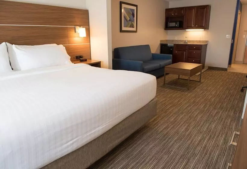 スイート, Holiday Inn Express Hotel & Suites Elkhart South, An Ihg