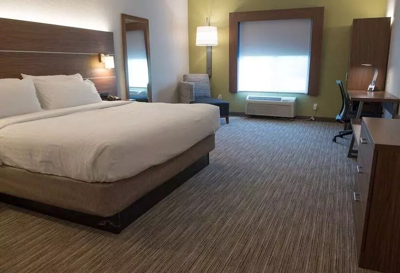 スタンダードルーム, Holiday Inn Express Hotel & Suites Elkhart South, An Ihg