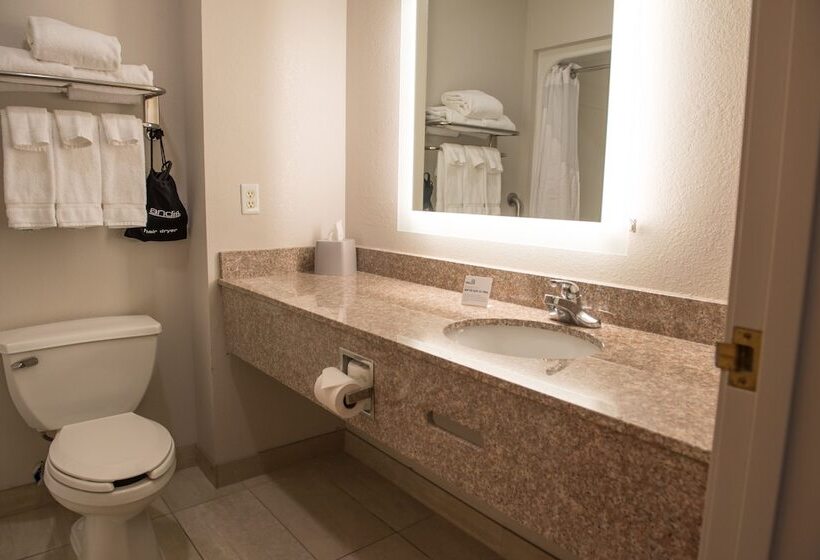 스탠다드 룸 더블 침대 2개, Holiday Inn Express Hotel & Suites Elkhart South, An Ihg