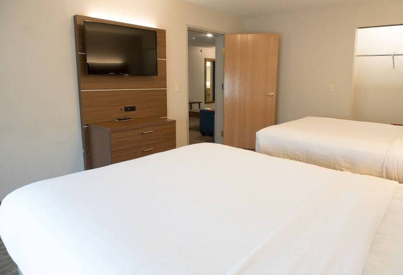 스위트, Holiday Inn Express Hotel & Suites Elkhart South, An Ihg