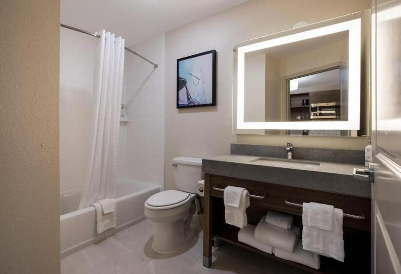 استودیو استاندارد با تخت کینگ, Candlewood Suites Lafayette   River Ranch, An Ihg