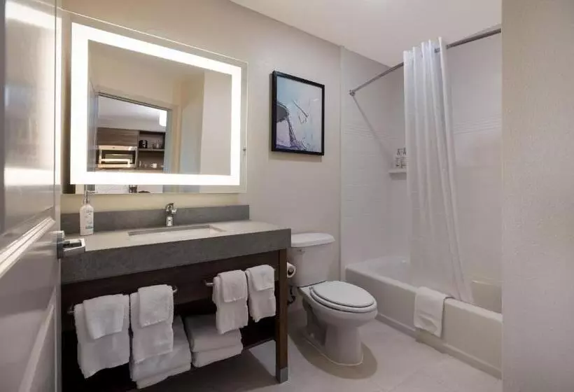 キングサイドベッドのスタンダードワンルーム, Candlewood Suites Lafayette   River Ranch, An Ihg