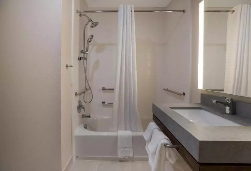 身障者適用スイートルーム, Candlewood Suites Lafayette   River Ranch, An Ihg
