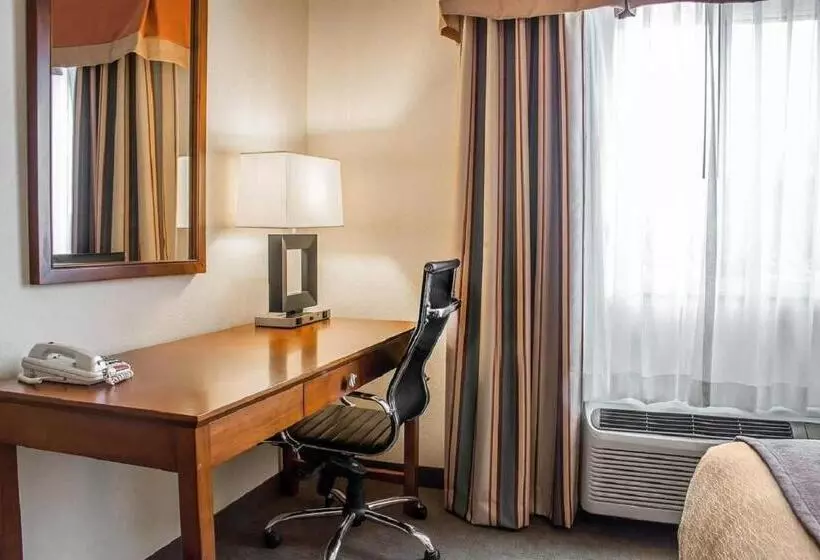 اتاق استاندارد با تخت بزرگ, Comfort Inn Near University