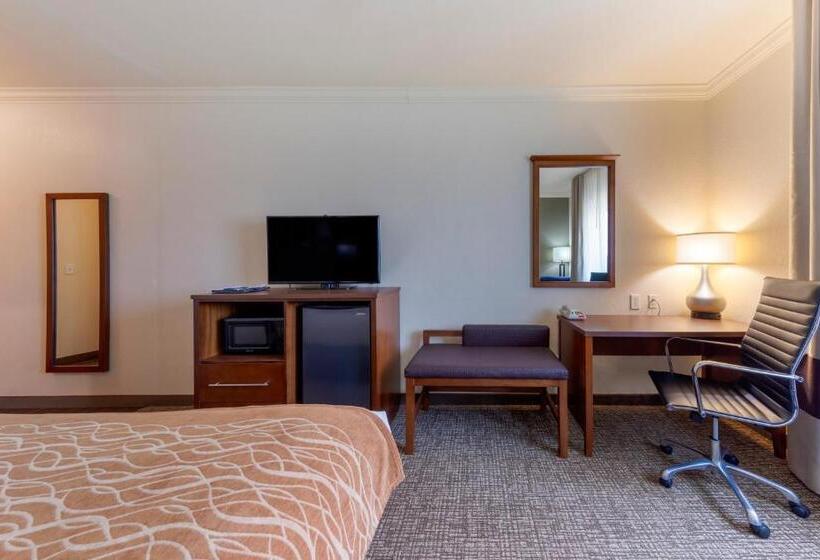 스탠다드 룸 킹사이즈 침대, Comfort Inn Near University