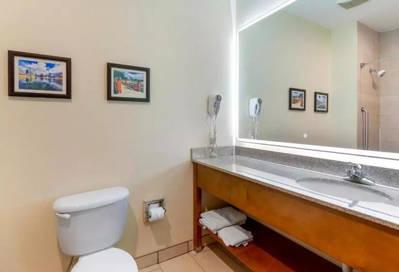 اتاق استاندارد, Comfort Inn Near University